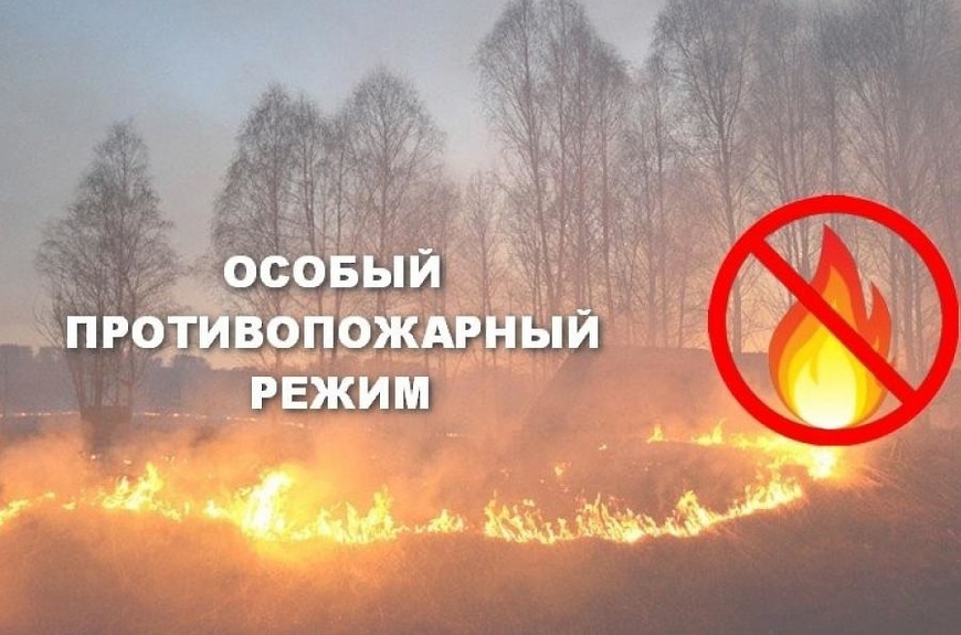 С 3 апреля на всей территории Ульяновской области введен особый противопожарный режим.