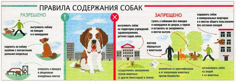 Основные правила содержания домашних животных!.