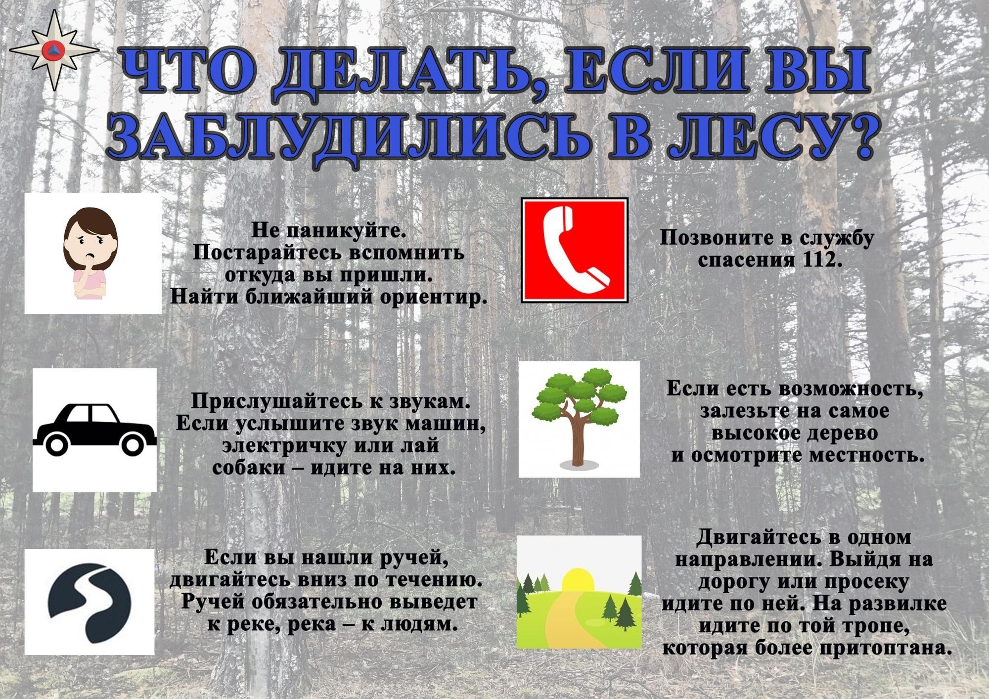 Основные правила, которые важно соблюдать, отправляясь в лес:.