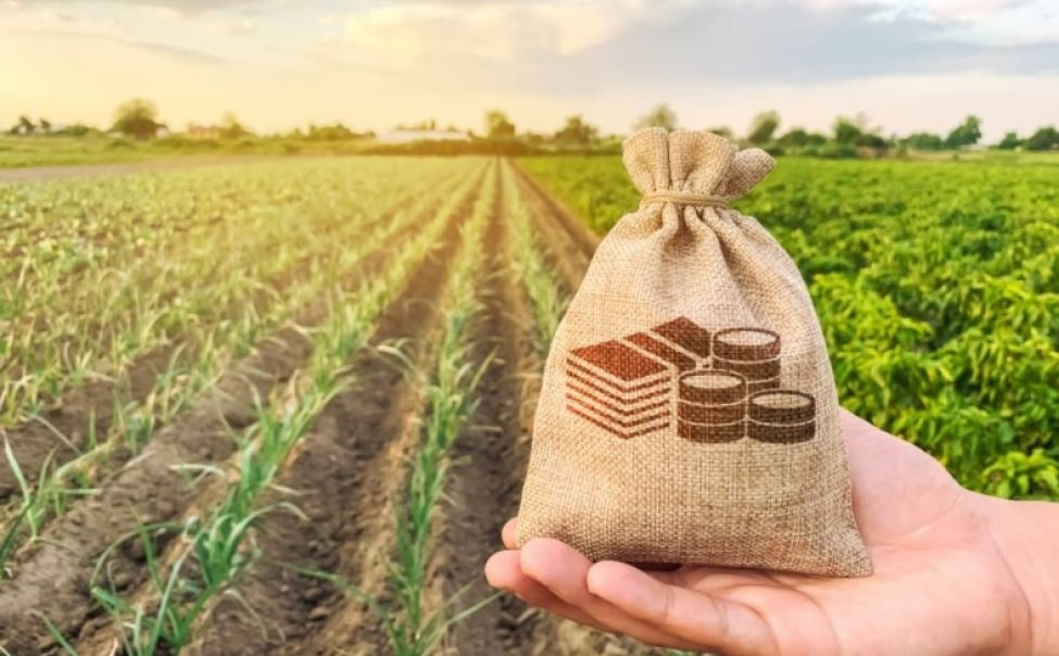 С 1 января появились новые меры господдержки российских сельхозпроизводителей.