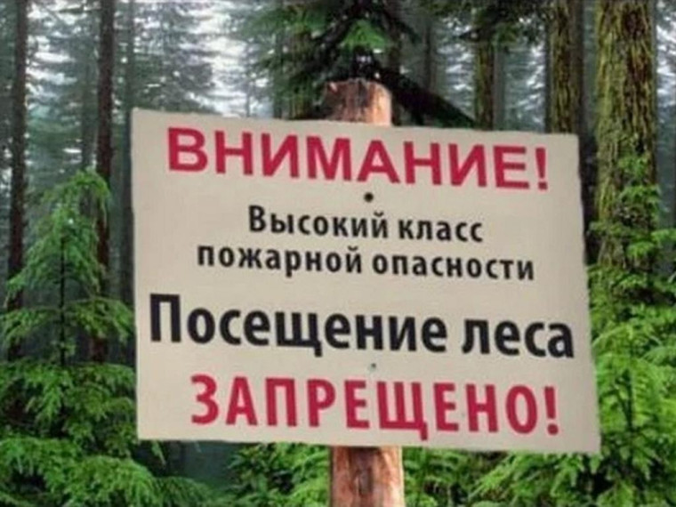 В регионе на все лето введен запрет на посещение лесов.