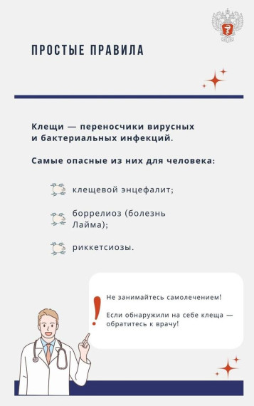 Простые правила: как защититься от клещей.