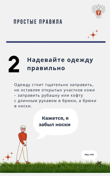 Простые правила: как защититься от клещей.