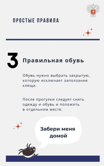 Простые правила: как защититься от клещей.