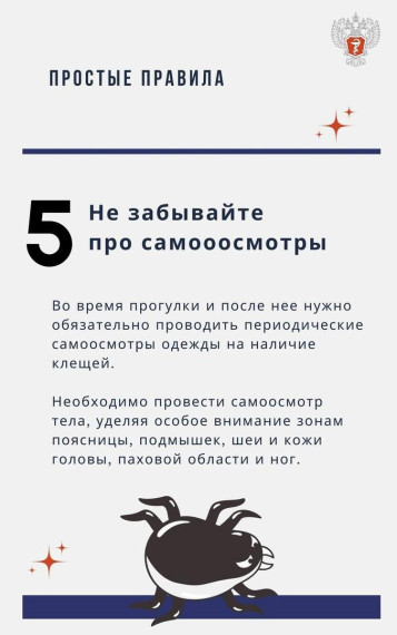 Простые правила: как защититься от клещей.