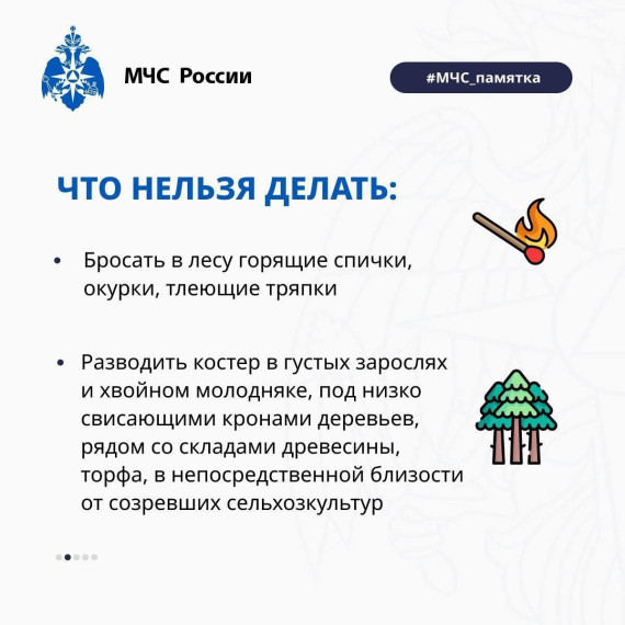 Как не допустить лесной пожар?.