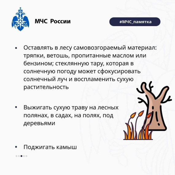 Как не допустить лесной пожар?.