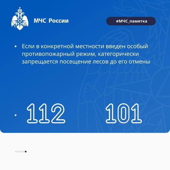 Как не допустить лесной пожар?.