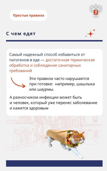 Все о пищевых инфекциях.
