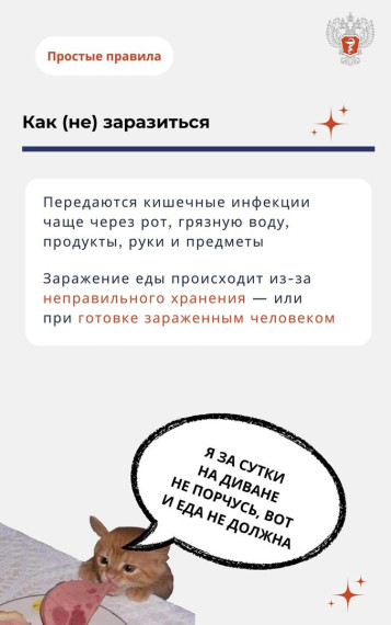 Все о пищевых инфекциях.