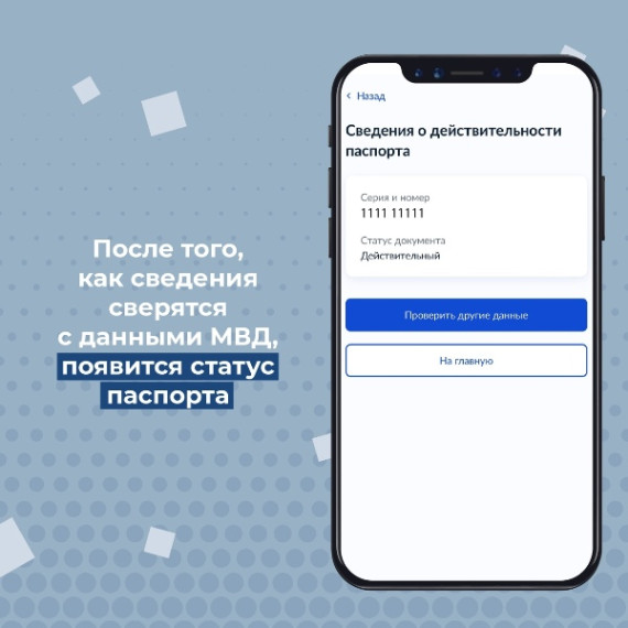 Ульяновцы могут проверить подлинность паспорта на «Госуслугах».